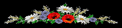 http://os1.i.ua/3/1/9483332_191d174d.gif